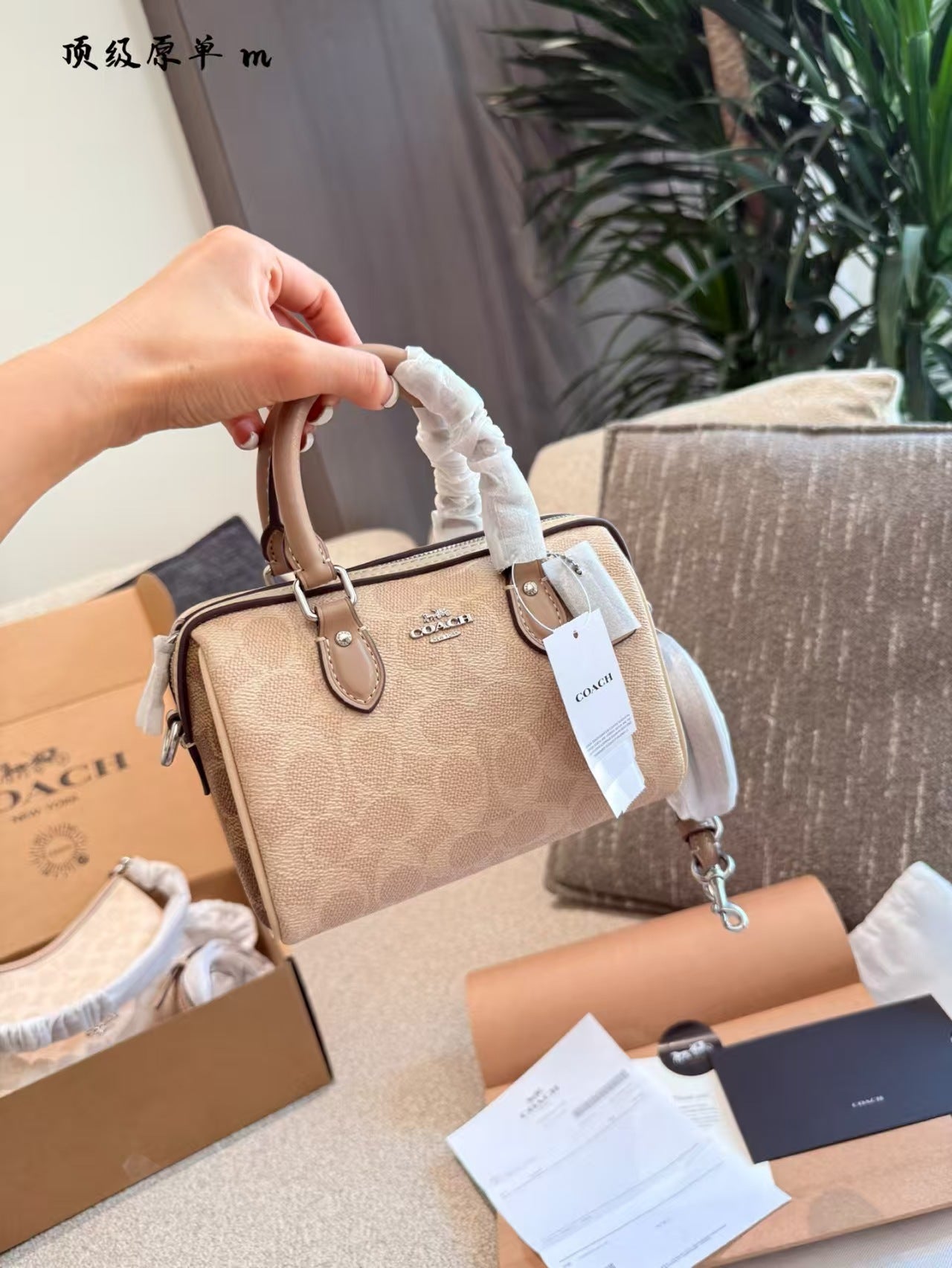 COACH(迷你枕头包)