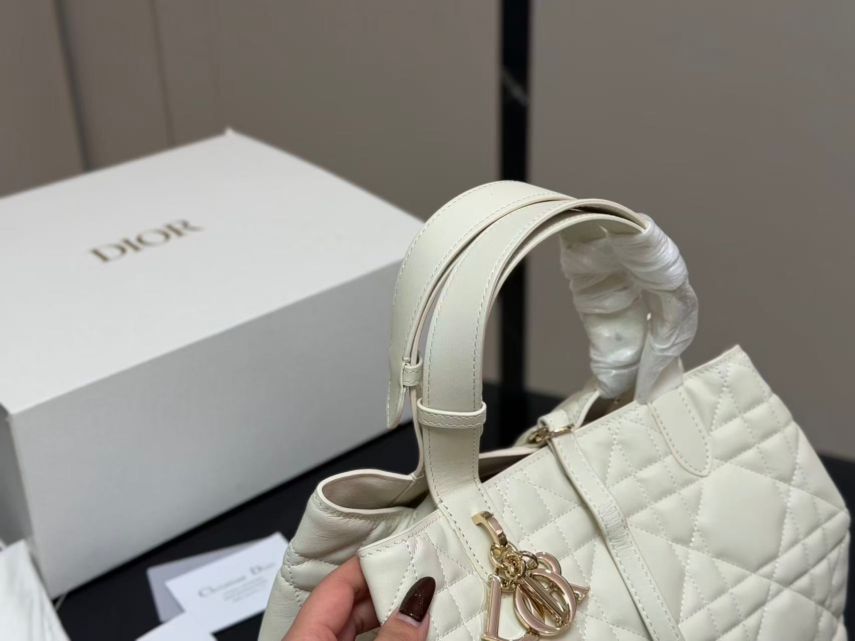 DIOR(Toujours 购物袋)