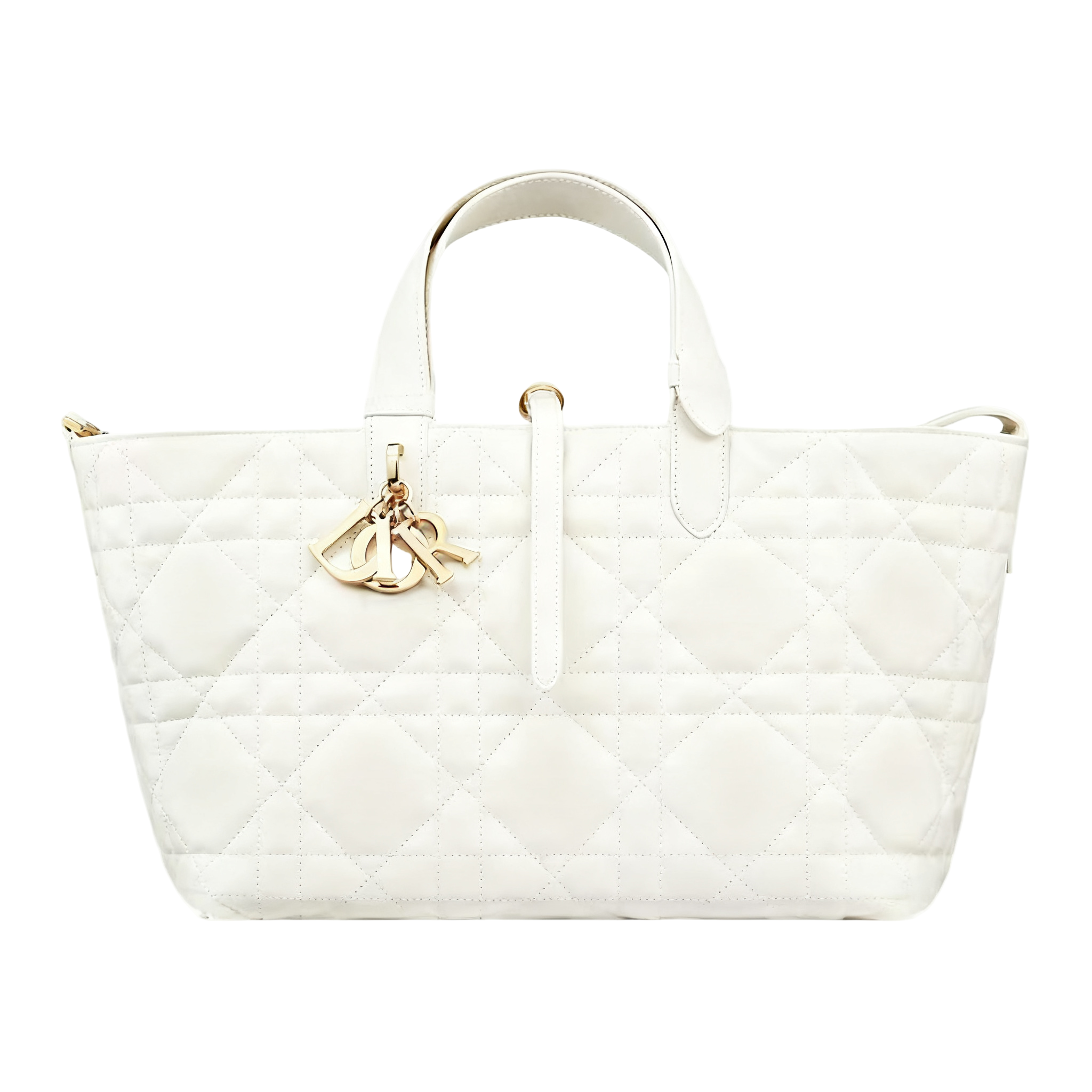 DIOR(Toujours 购物袋)