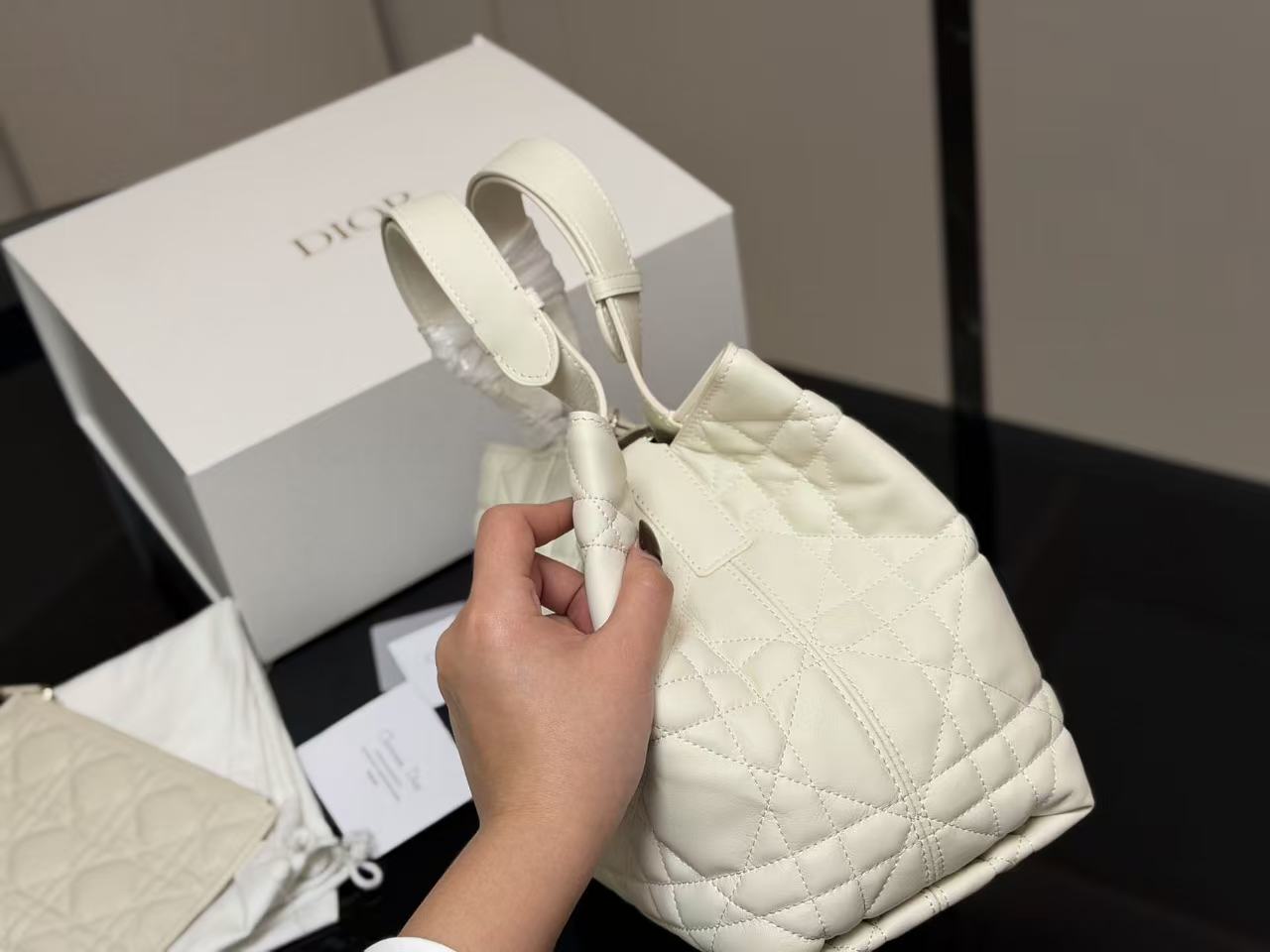 DIOR(Toujours 购物袋)