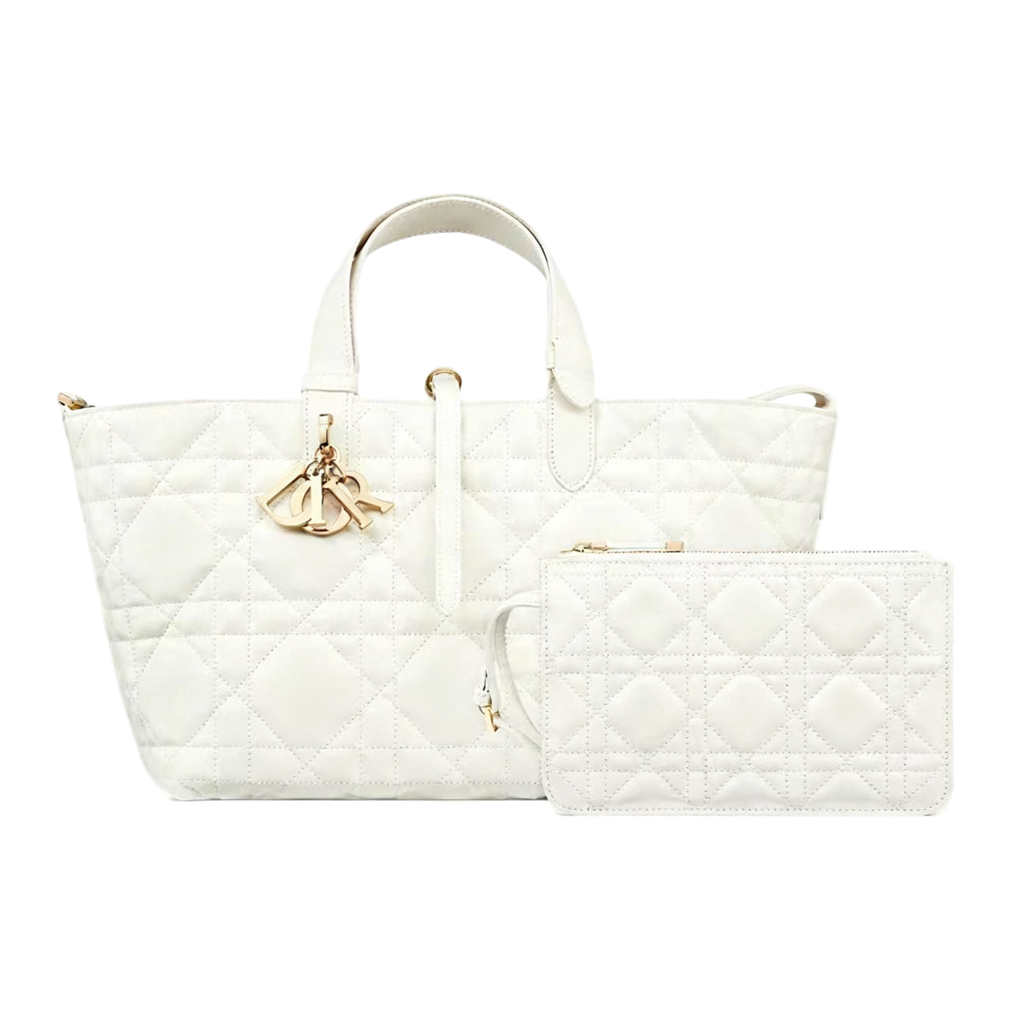 DIOR(Toujours 购物袋)