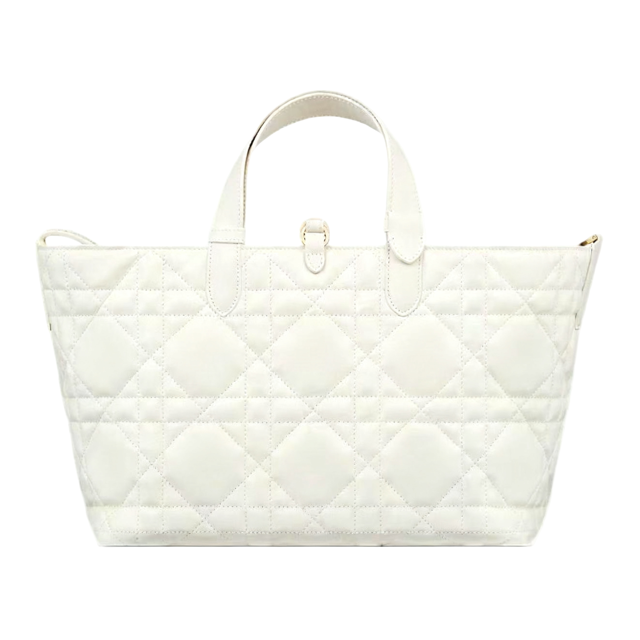 DIOR(Toujours 购物袋)