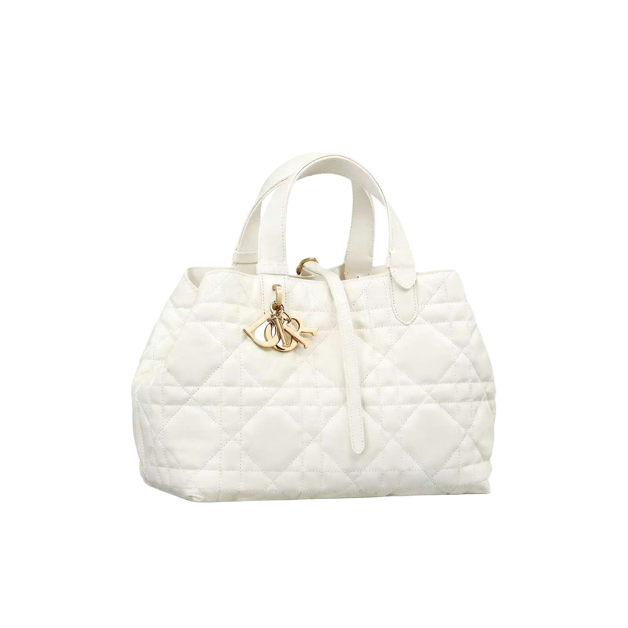 DIOR(Toujours 购物袋)